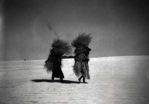 بادیه نشینان عربستان